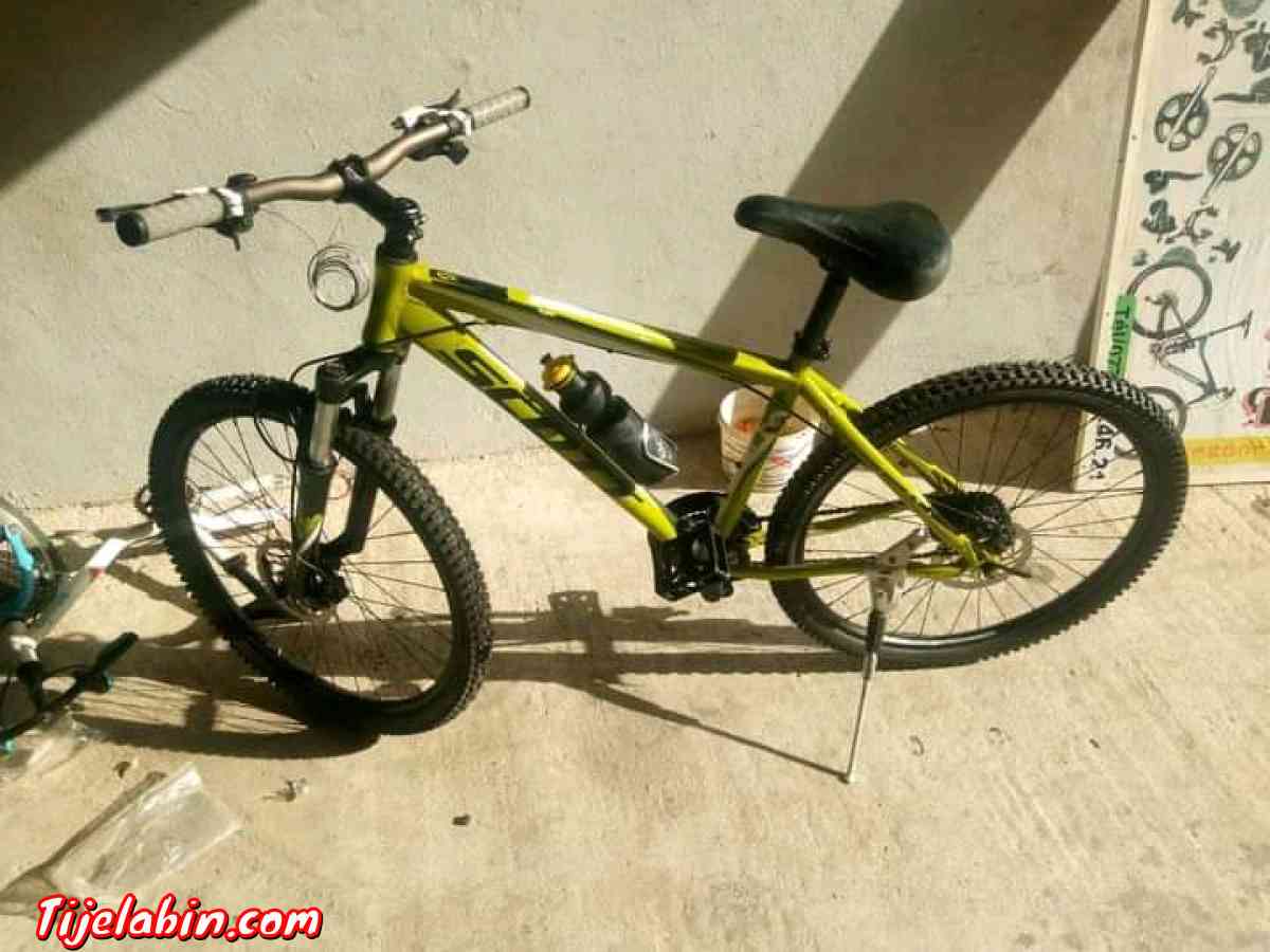 سيدي مزغيش سكيكدة