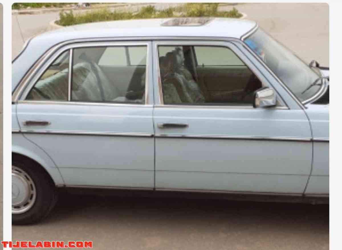 جاري البحث عن مرسداس 123