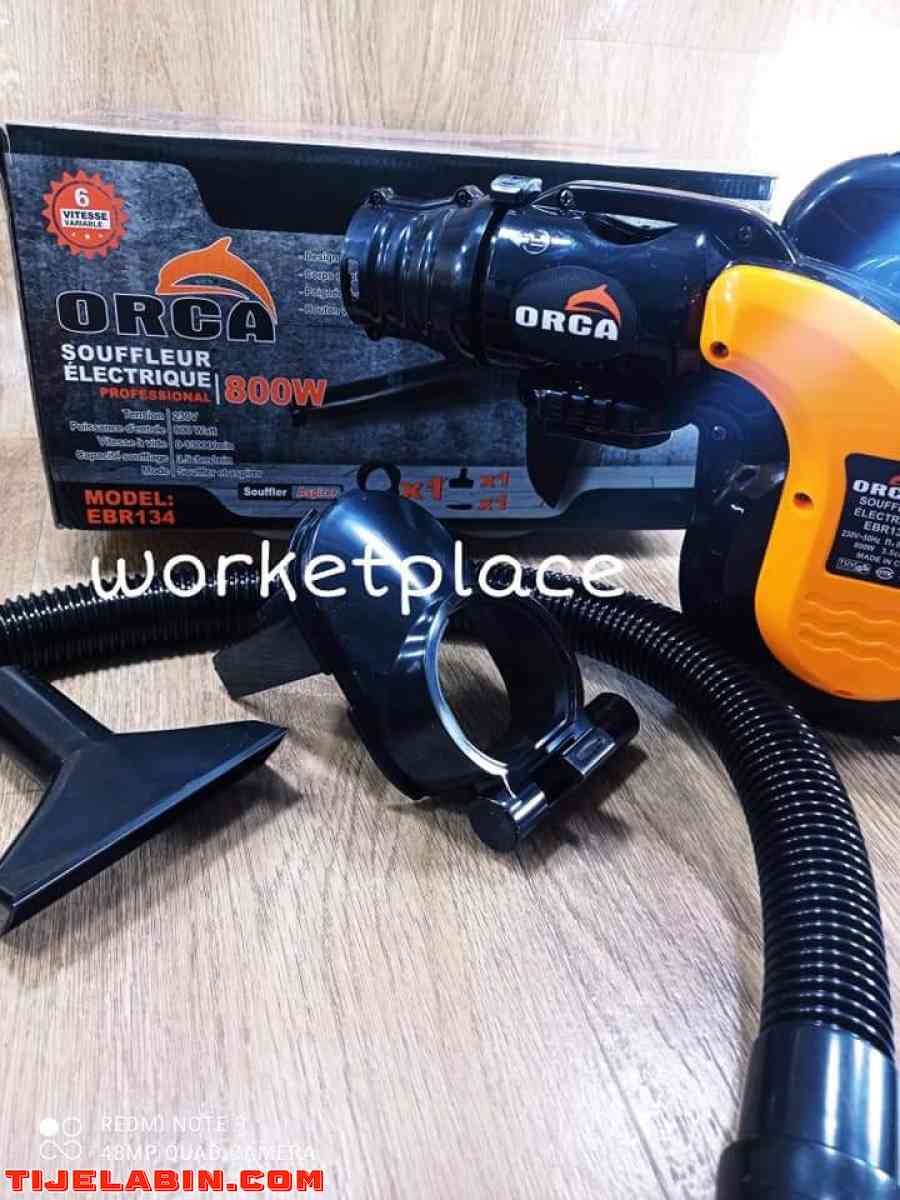 Aspirateur Souffleur Orca 800w