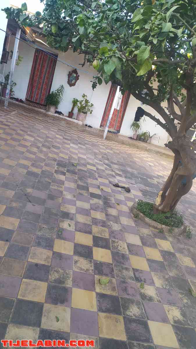 دار عرب للبيع