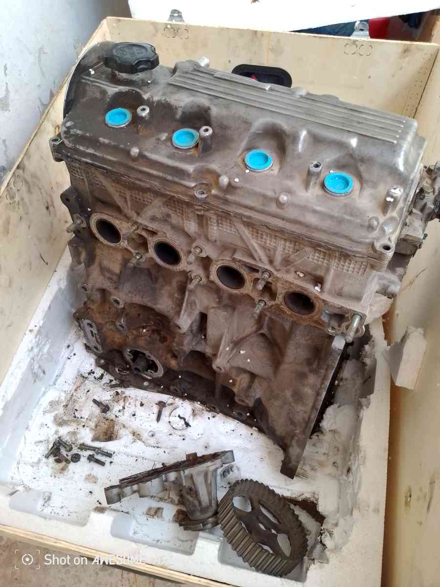 محرك شانا بيني بريسطو