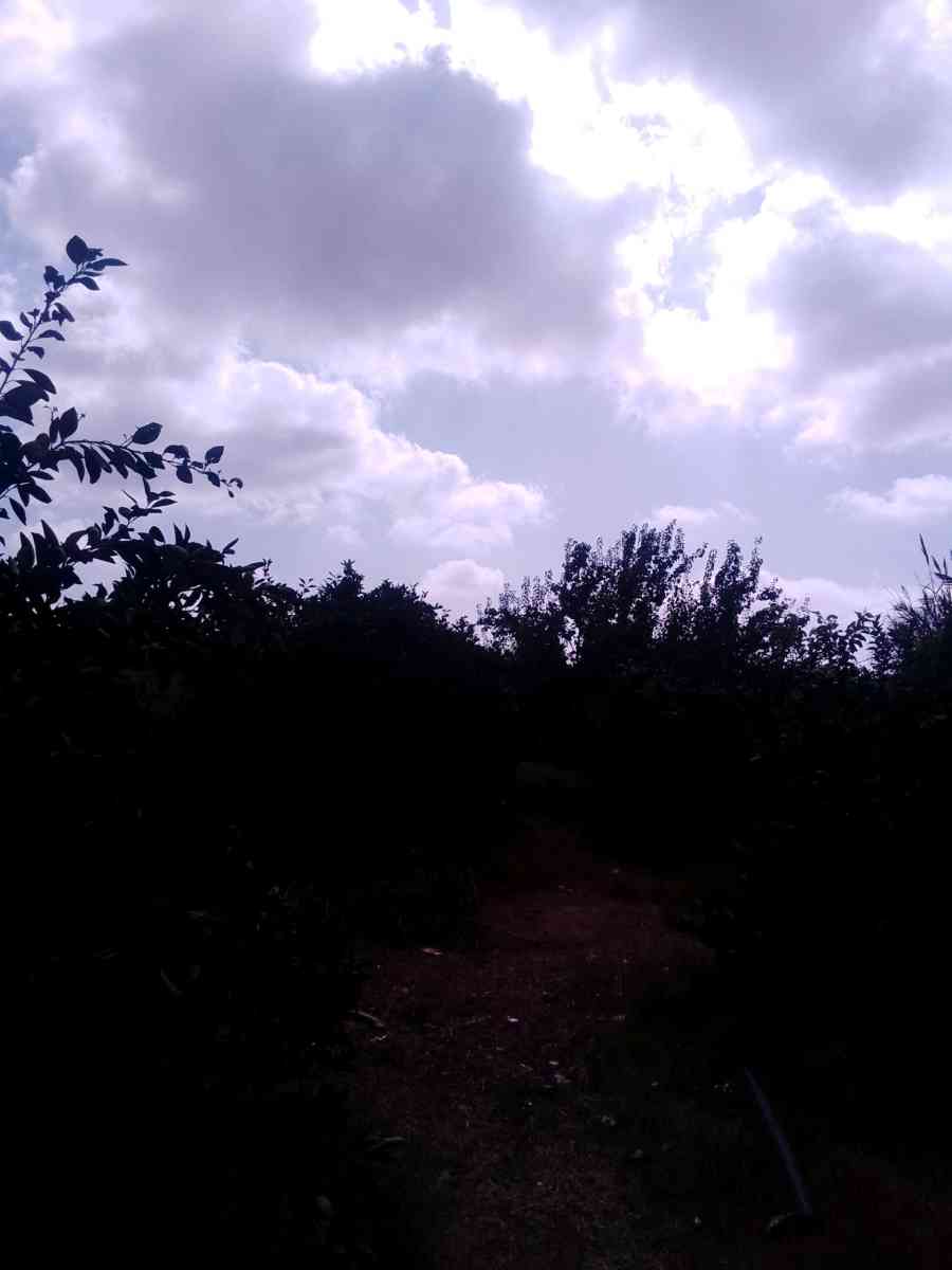 قطعة أرض خصبة