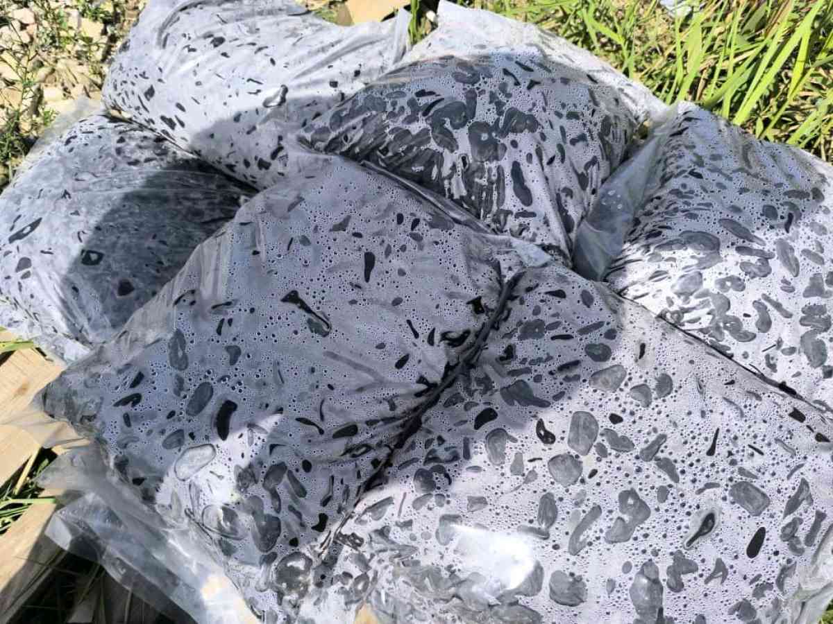 2Galet Marbre Blanc AthenaGallet importationGalet en pierre