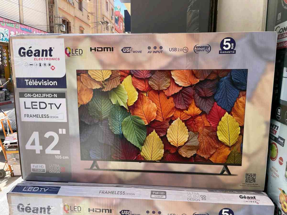 Tv gant 42p simple